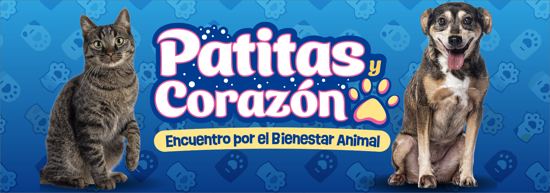 Patitas y Corazón - Encuentro por el Bienestar Animal