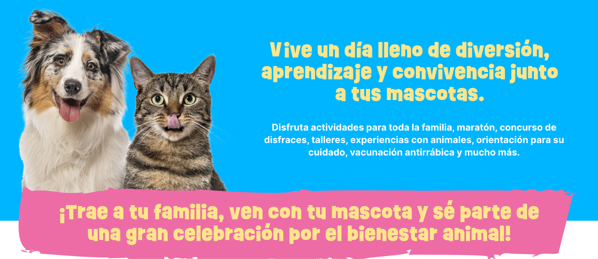 Vive un día lleno de diversión, aprendizaje y convivencia junto a tus mascotas. Disfruta actividades para toda la familia, maratón, concurso de disfraces, talleres, experiencias con animales, orientación para su cuidado, vacunación antirrábica y mucho más. ¡Trae a tu familia, ven con tu mascota y sé parte de una gran celebración por el bienestar animal!